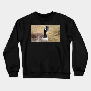 Canada Goose With Sticks In Its Mouth Crewneck Sweatshirt